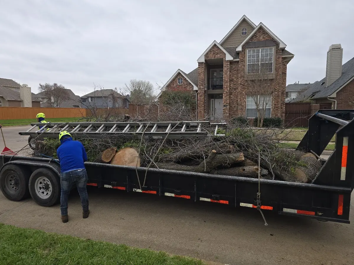 Expert Tree Fertilization with proper safety equipment in Glenbeulah